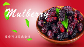桑葚