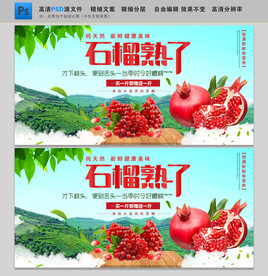 石榴海报展板