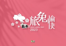 兔年