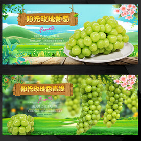 阳光玫瑰