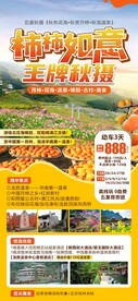 柿柿如意月柿海报