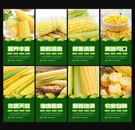 玉米