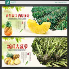 菠萝