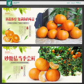 砂糖桔海报
