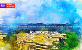 乡村田野