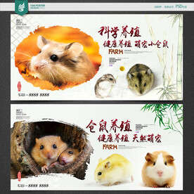 仓鼠