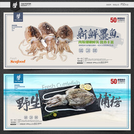 墨鱼