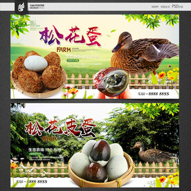 皮蛋