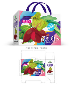 凤梨萝卜设计