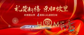 返乡置业背景