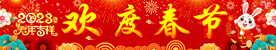 欢度春节