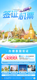 签证机票