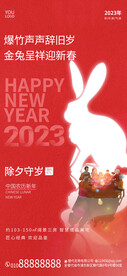 春节年俗海报