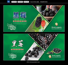  黑莓桑葚