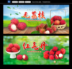 红毛丹