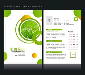 绿色小学简历