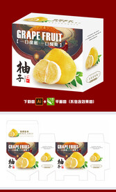 柚子包装