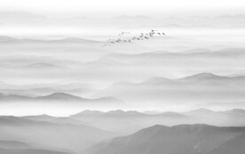 水墨画