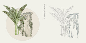 国画风植物