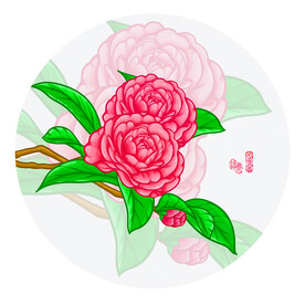 山茶花