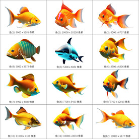 金色小鱼