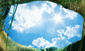 仰视天空
