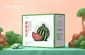 西瓜包装 礼盒