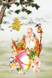 老寿星