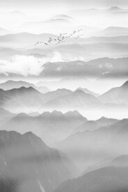 玄关水墨画