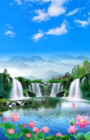 荷花风景 