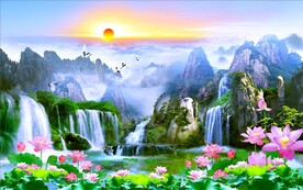 荷花风景