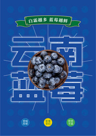 蓝莓