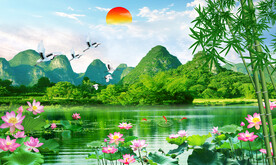 荷花风景图