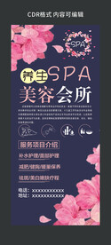 美容展架图片