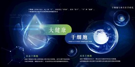 干细胞