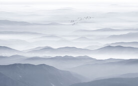 意境水墨山水画背景墙