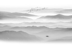 禅意水墨山水画