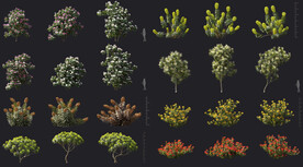 植物