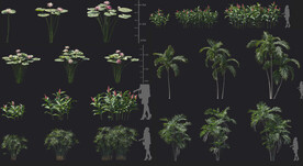 植物