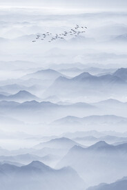 竖幅水墨画