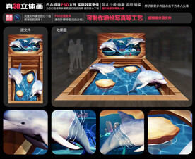 海豚
