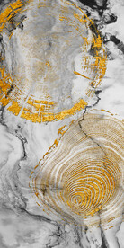 新中式抽象轻奢金色年轮玄关