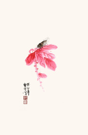 雁来红中国风