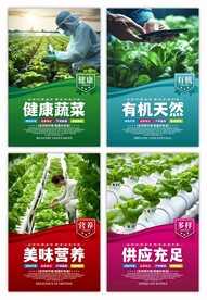 果蔬挂画海报