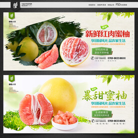 红心柚