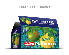 文旦柚礼盒
