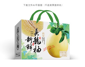 真龙柚礼盒