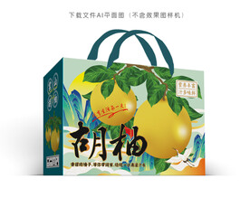 胡柚彩盒
