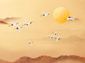 仙鹤 