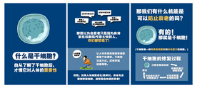 干细胞